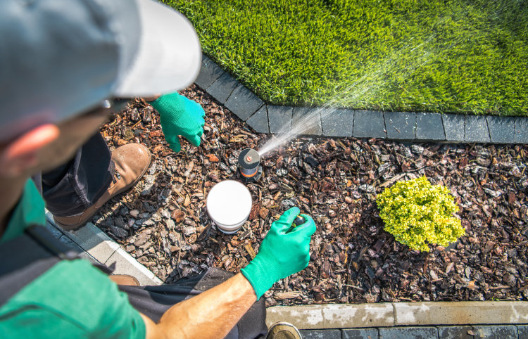 Monteur justiert einen Regner an der Beetkante, der Sprühstrahl läuft über das Beet